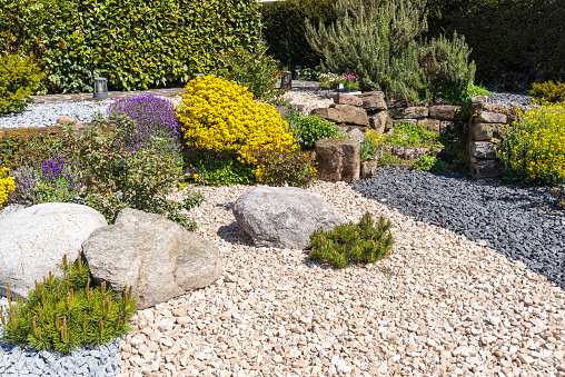 Aperture 9.5, exposure time 1/750 sec., ISO 200, UV filter, lens hood, focal length 34 mm,  jura rock, basalt gravel, jura gravel, granite gravel, aubretia,