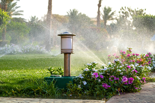 Plastic sprinkler irrigating flower bed on grass lawn with water in summer garden. Watering green vegetation duging dry season for maintaining it fresh.